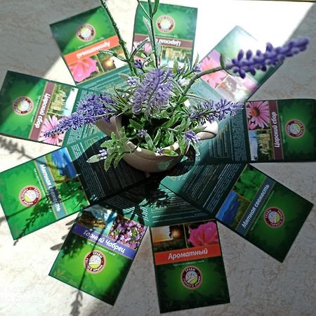 Hévíz Lavender 아파트 외부 사진